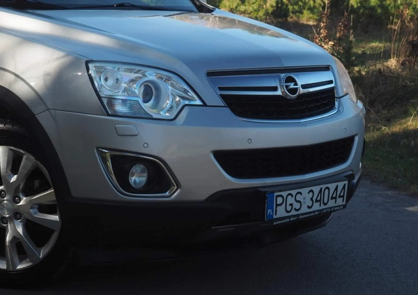 Opel Antara cena 31900 przebieg: 259800, rok produkcji 2012 z Brańsk małe 742